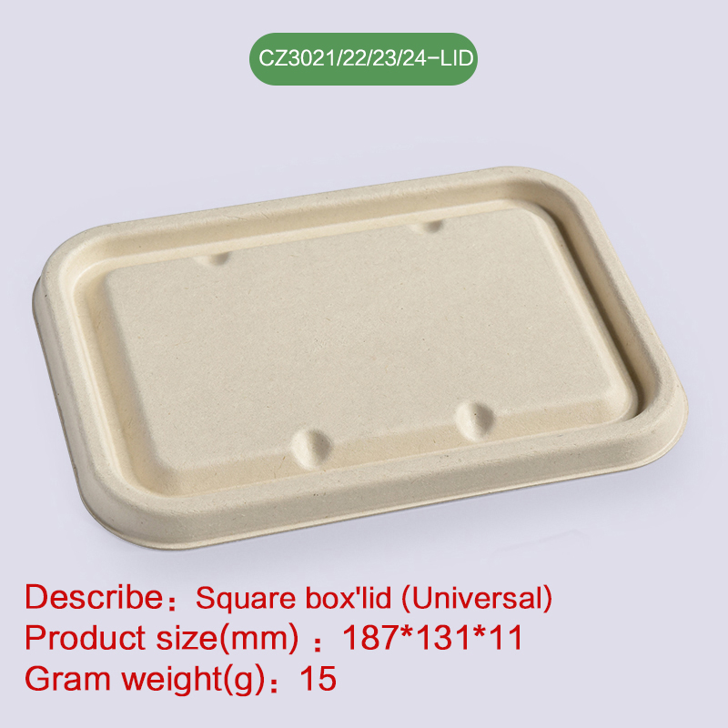 Biodegradable disposable compostable bagasse pulp-CZ3021/022/023/024-LID