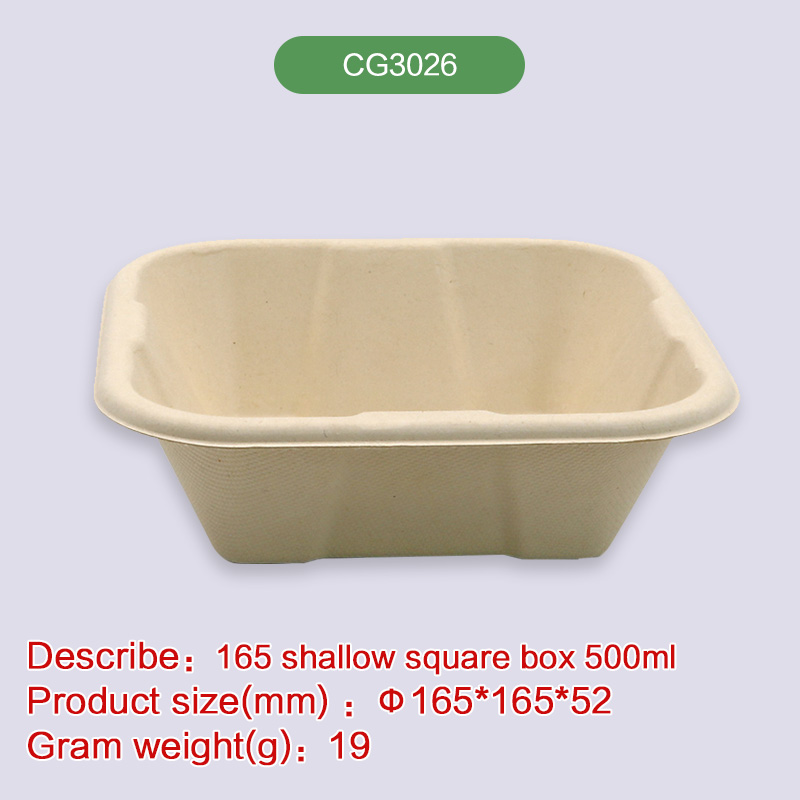 Biodegradable disposable compostable bagasse pulp-CG3026