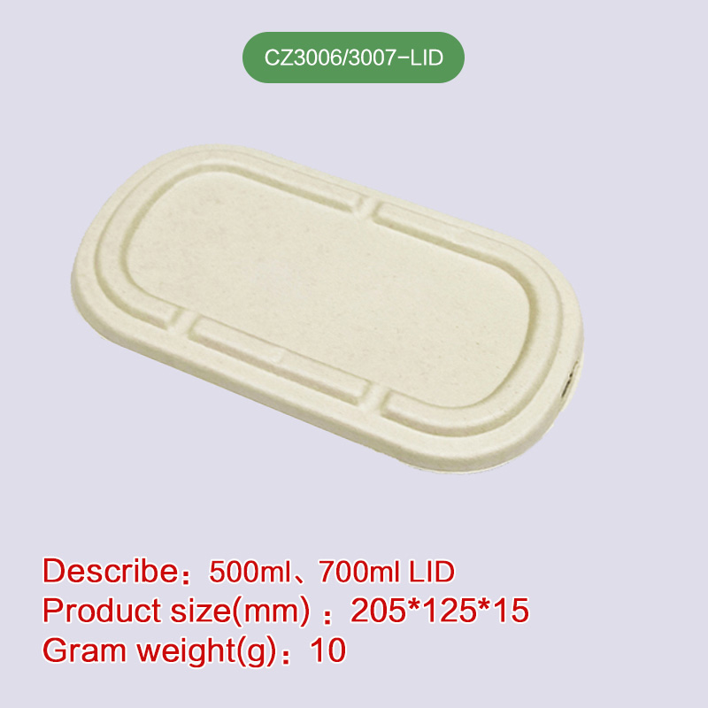 Lid of lunch box Biodegradable disposable compostable bagasse pulp-CZ3006/007-LID