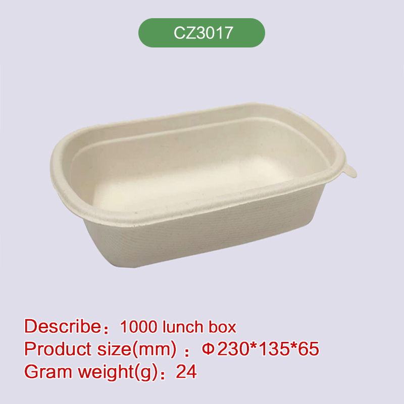 Biodegradable disposable compostable bagasse pulp-CZ3017