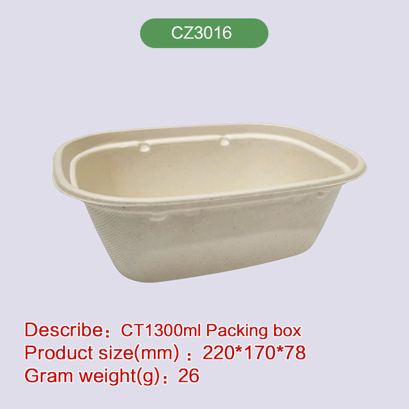 lunch box Biodegradable disposable compostable bagasse pulp-CZ3016
