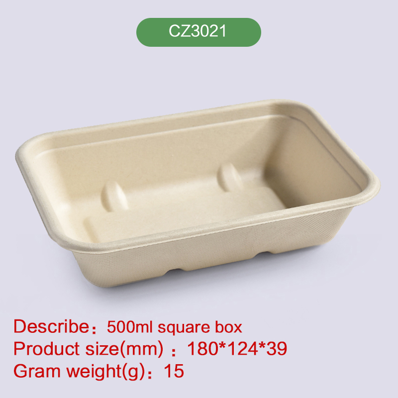 Square box Biodegradable disposable compostable bagasse pulp-CZ3021