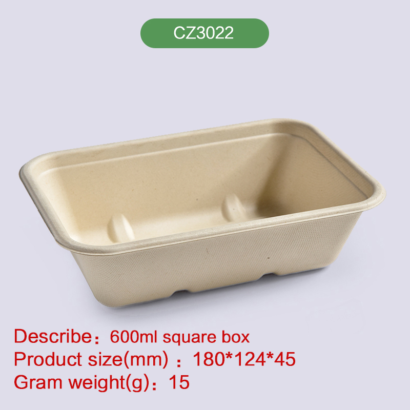 Biodegradable disposable compostable  bagasse pulp-CZ3022