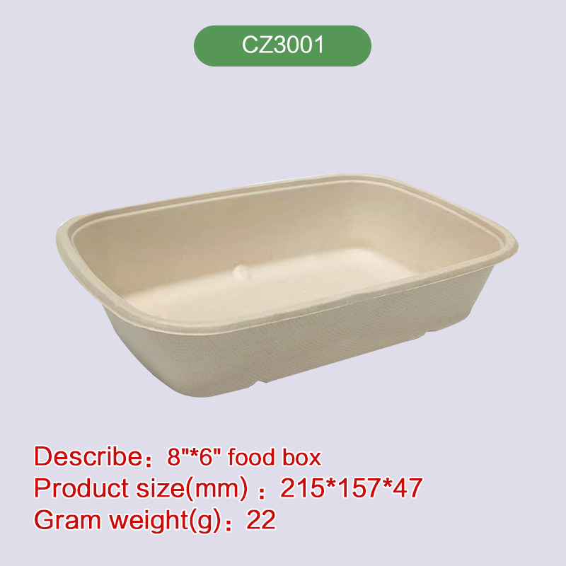 8''*6'' lunch box Biodegradable disposable compostable bagasse pulp-CZ3001